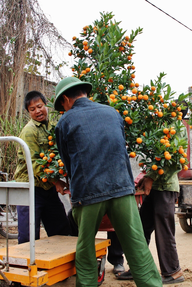 Người chở Xuân đến nhà ảnh 5